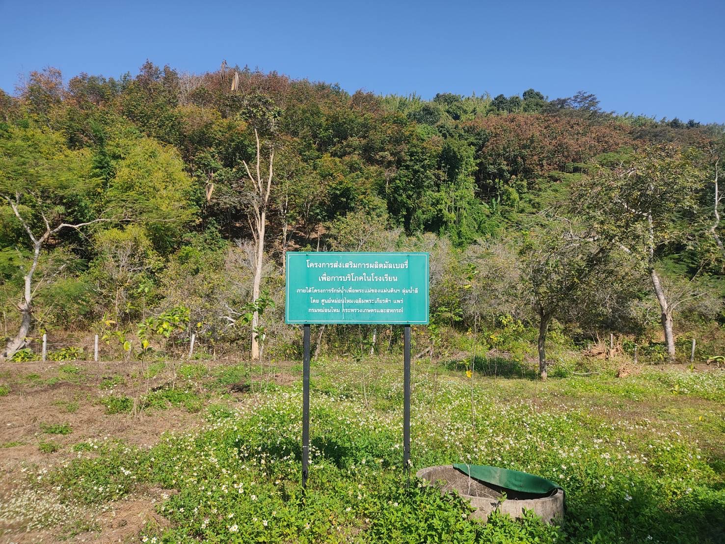 สศท.2 ติดตาม ‘โครงการรักษ์น้ำเพื่อพระแม่ของแผ่นดิน’ จ.อุตรดิตถ์ เกษตรกรมีรายได้ครัวเรือนเพิ่มขึ้น ลดรายจ่าย 9 S 51953695 0