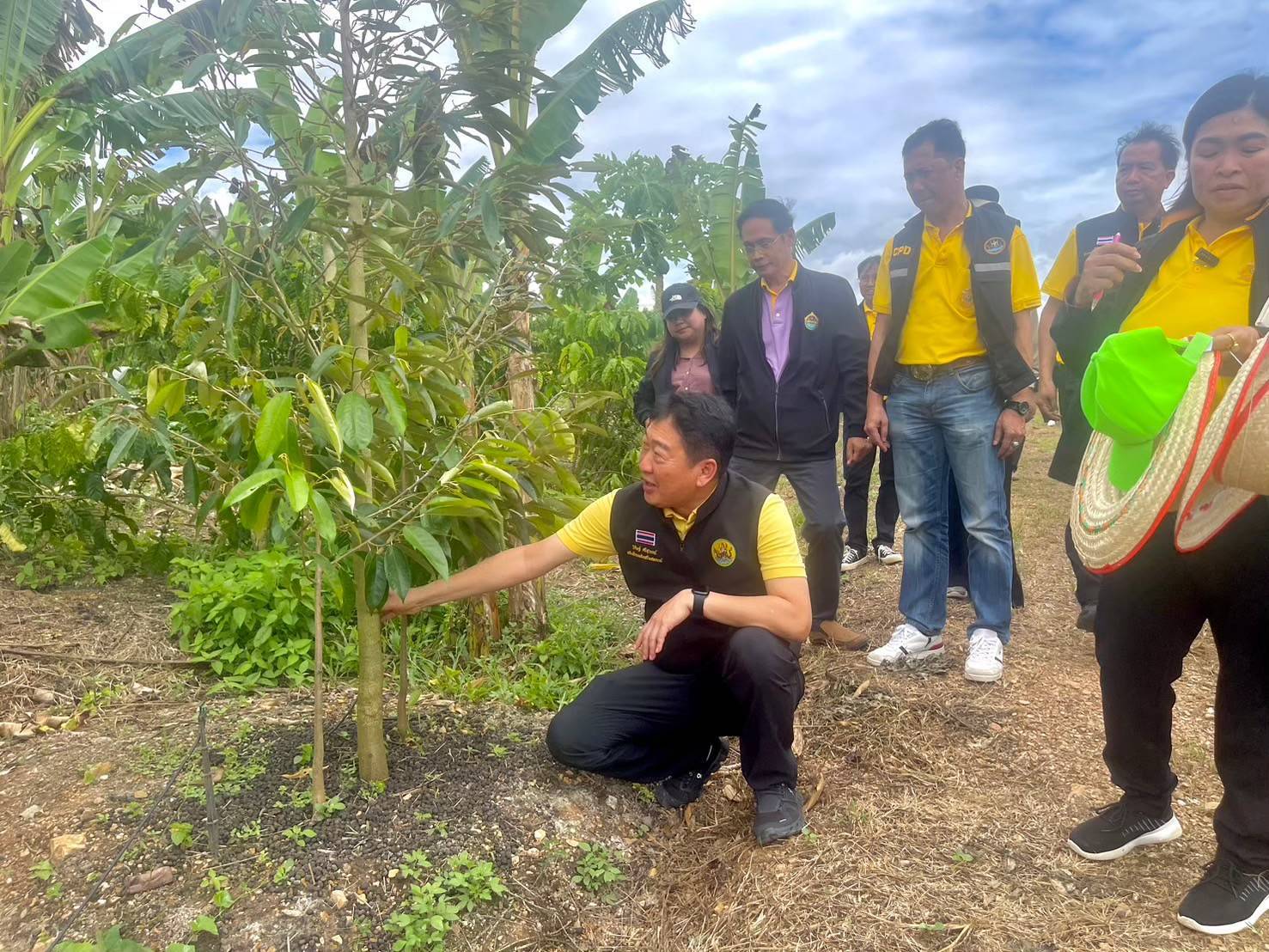 กรมส่งเสริมสหกรณ์ เดินหน้าส่งเสริมอาชีพและการตลาดในพื้นที่ คทช.ตามนโยบายรัฐบาลกระจายที่ดินทำกิน ยกระดับคุณภาพชีวิตเกษตรกรผ่านการรวมกลุ่มสหกรณ์และส่งเสริมนวัตกรรมการผลิตสู่ความเข้มแข็งอย่างยั่งยืน 3 S 89784369