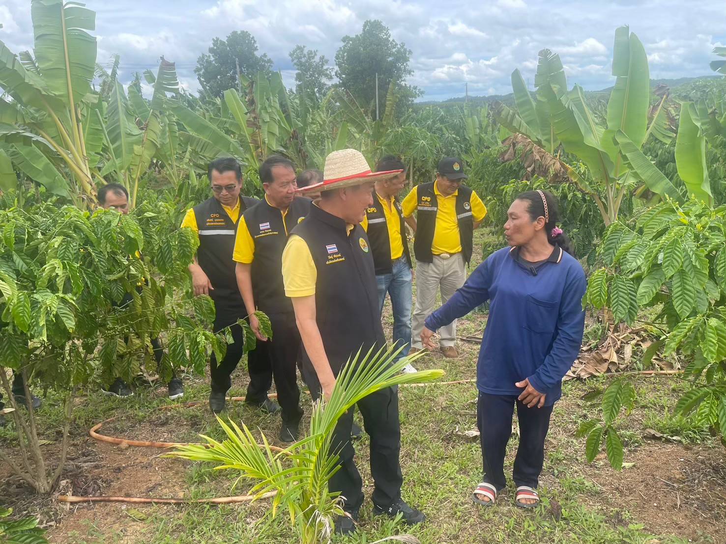 กรมส่งเสริมสหกรณ์ เดินหน้าส่งเสริมอาชีพและการตลาดในพื้นที่ คทช.ตามนโยบายรัฐบาลกระจายที่ดินทำกิน ยกระดับคุณภาพชีวิตเกษตรกรผ่านการรวมกลุ่มสหกรณ์และส่งเสริมนวัตกรรมการผลิตสู่ความเข้มแข็งอย่างยั่งยืน 4 S 89784370