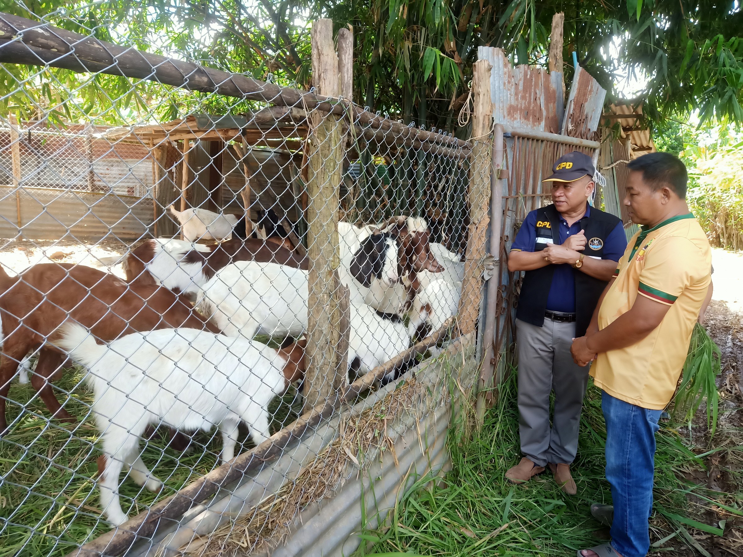 กรมส่งเสริมสหกรณ์ เดินหน้าส่งเสริมอาชีพและการตลาดในพื้นที่ คทช.ตามนโยบายรัฐบาลกระจายที่ดินทำกิน ยกระดับคุณภาพชีวิตเกษตรกรผ่านการรวมกลุ่มสหกรณ์และส่งเสริมนวัตกรรมการผลิตสู่ความเข้มแข็งอย่างยั่งยืน 7 S 89784373
