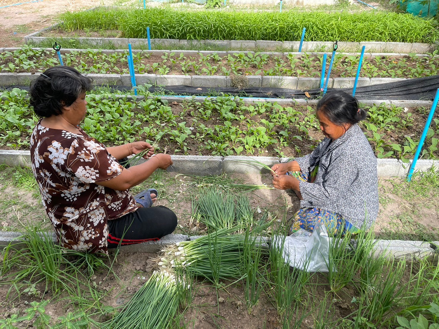 กรมส่งเสริมสหกรณ์ เดินหน้าส่งเสริมอาชีพและการตลาดในพื้นที่ คทช.ตามนโยบายรัฐบาลกระจายที่ดินทำกิน ยกระดับคุณภาพชีวิตเกษตรกรผ่านการรวมกลุ่มสหกรณ์และส่งเสริมนวัตกรรมการผลิตสู่ความเข้มแข็งอย่างยั่งยืน 8 S 89784374
