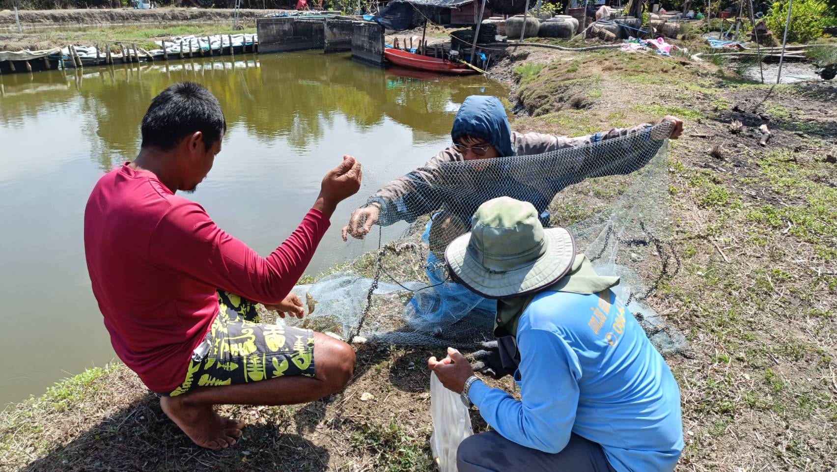 สมุทรสงคราม โชว์ผลชัด Samutsongkram1