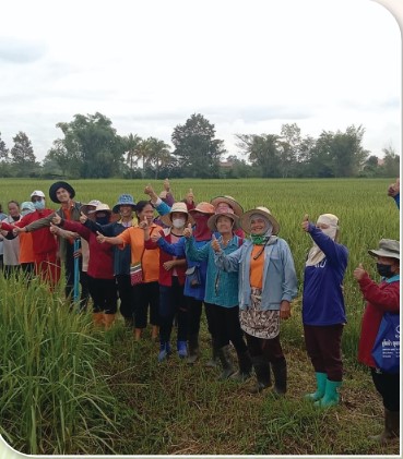 สถาบันเกษตรกรดีเด่นแห่งชาติ ประจำปี 2568 ศูนย์ส่งเสริมและผลิตภัณฑ์ข้าวชุมชนประเภทข้าวอื่นๆ Sc