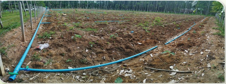 สถาบันเกษตรกรดีเด่นแห่งชาติ ประจำปี 2568 ประเภทวิสาหกิจชุมชน Screenshot 2025 06 01 at 17 31 56