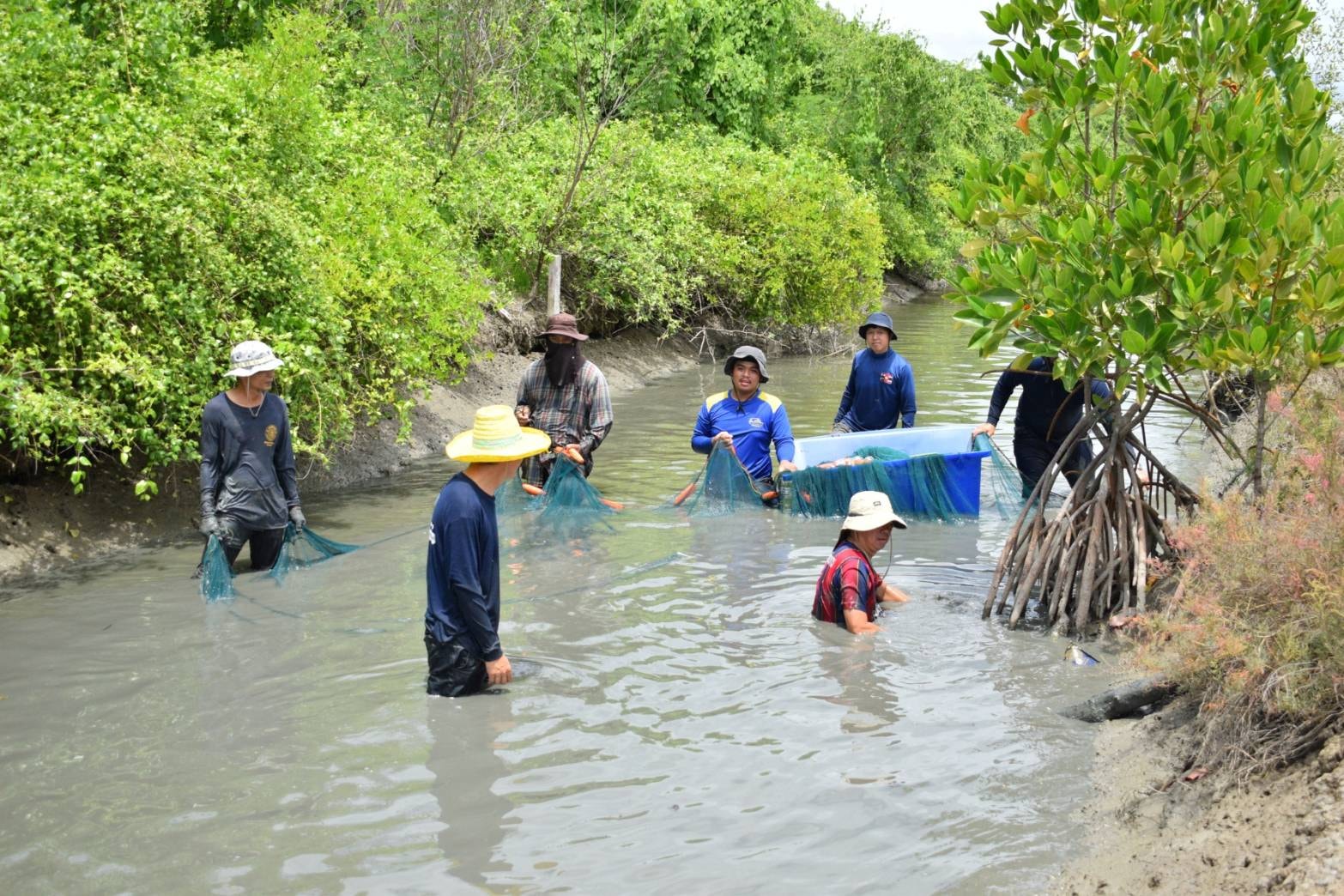 สมุทรสงคราม โชว์ผลชัด Songkram3