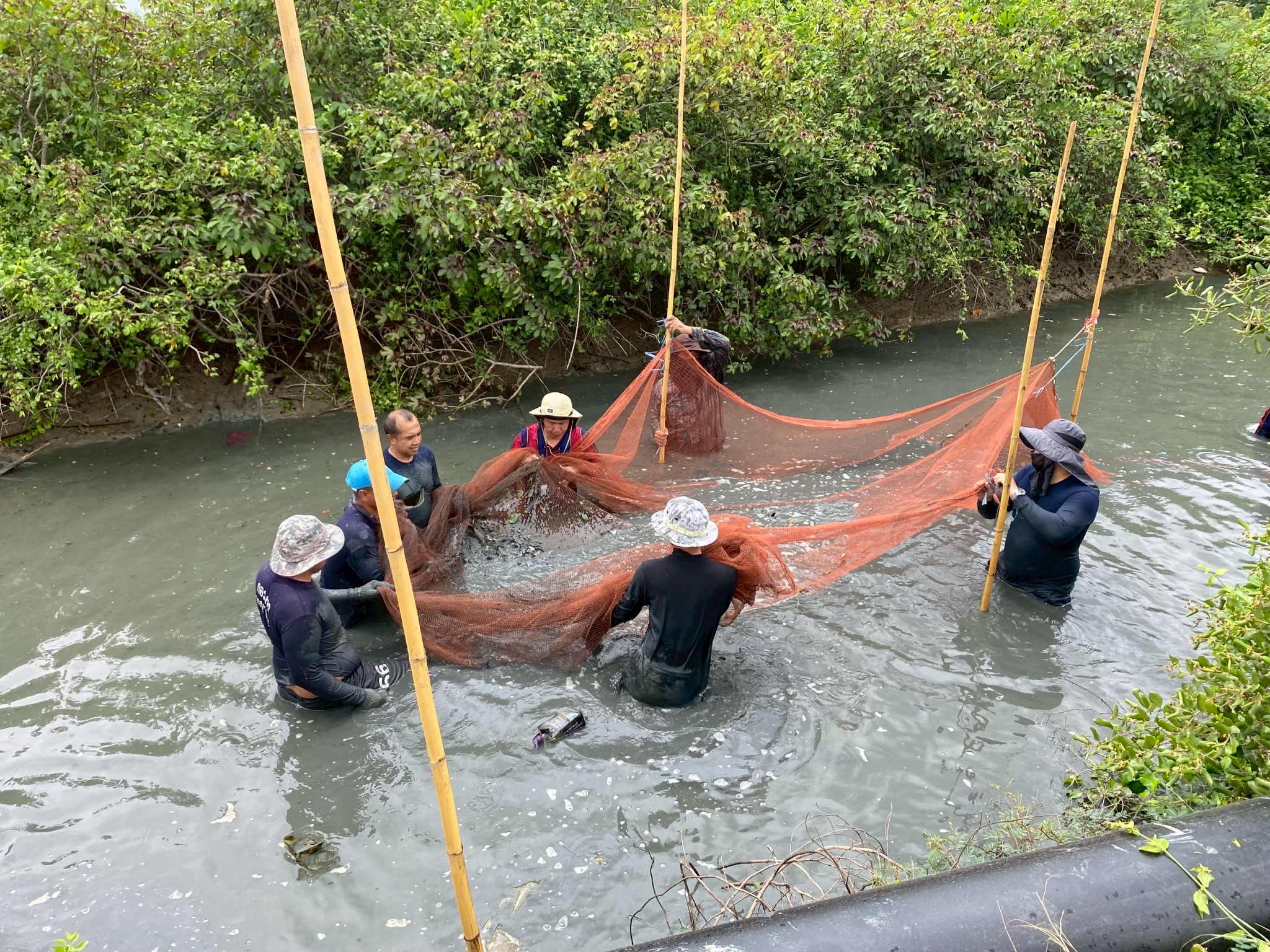 สมุทรสงคราม โชว์ผลชัด Songkram7