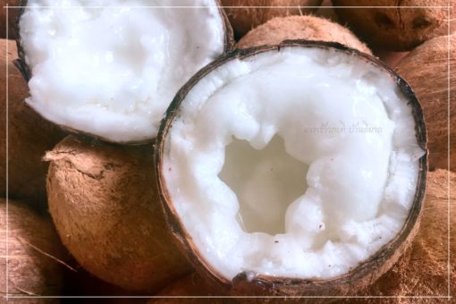 สนค.เผย“ แป้งมัน-ทุเรียน-มะพร้าว”และอีกหลายสินค้าไทยครองแชมป์สินค้าส่งออกมากที่สุดในโลก แต่หลายสินค้าเริ่มมีความเสี่ยง มีสัญญาณเตือนให้ต้องระวังคู่แข่ง 5 qlve7k3uowViunST24VG o 510x340 1