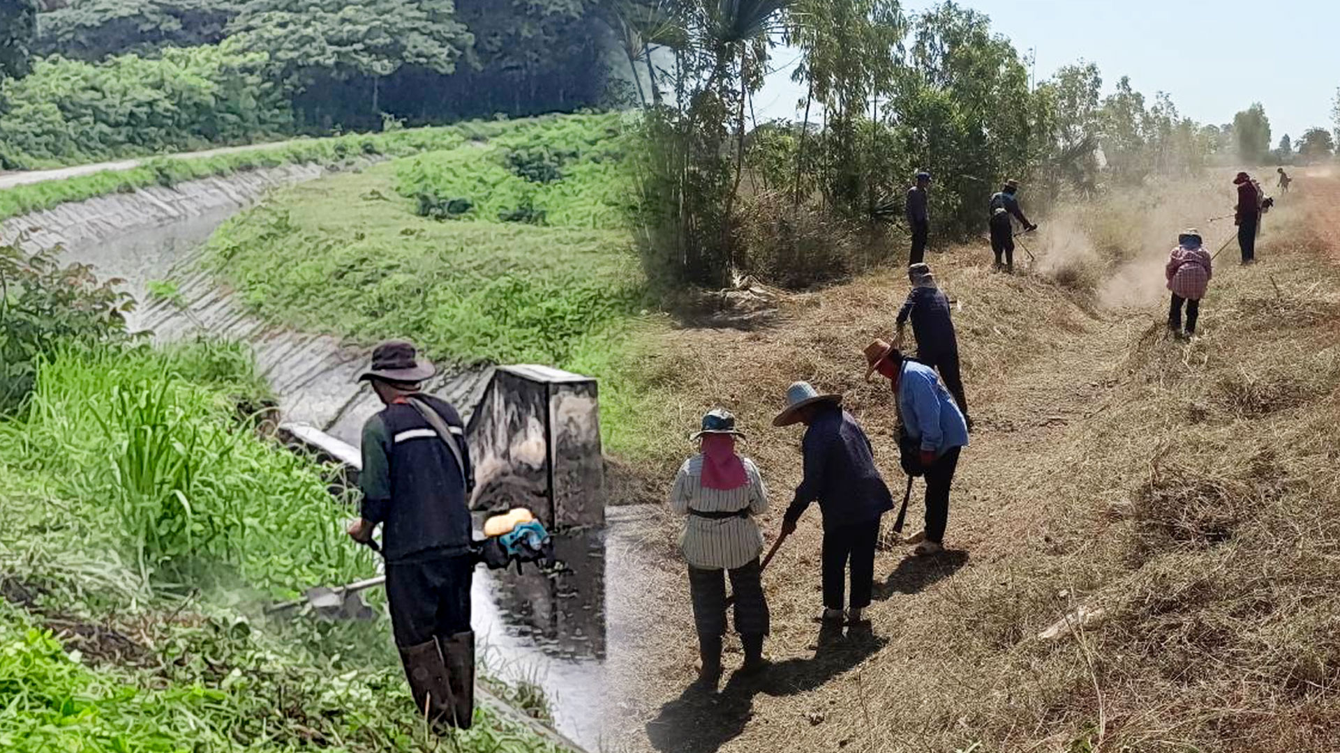 กรมชลฯ เผยยอดจ้างแรงงานแล้วกว่า 7.5 หมื่นคน จ่อถึงเป้า 8.4 หมื่นคนทั่วประเทศ 1 กรมชลฯ2 1