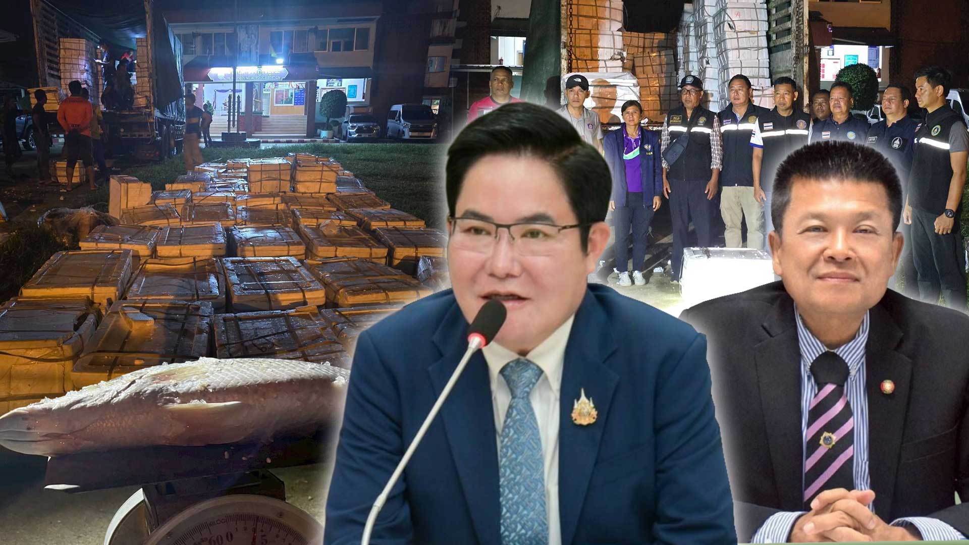 กรมประมงสกัดจับผู้ลักลอบนำเข้าปลากะพงขาวจำนวน 7,536 กิโลกรัม มูลค่ากว่า 6 แสนบาท ได้ที่ด่านสุไหงโกลก 1 กรมประมง สกัดจับผู้ลักลอบนำเข้าปลากะพงขา