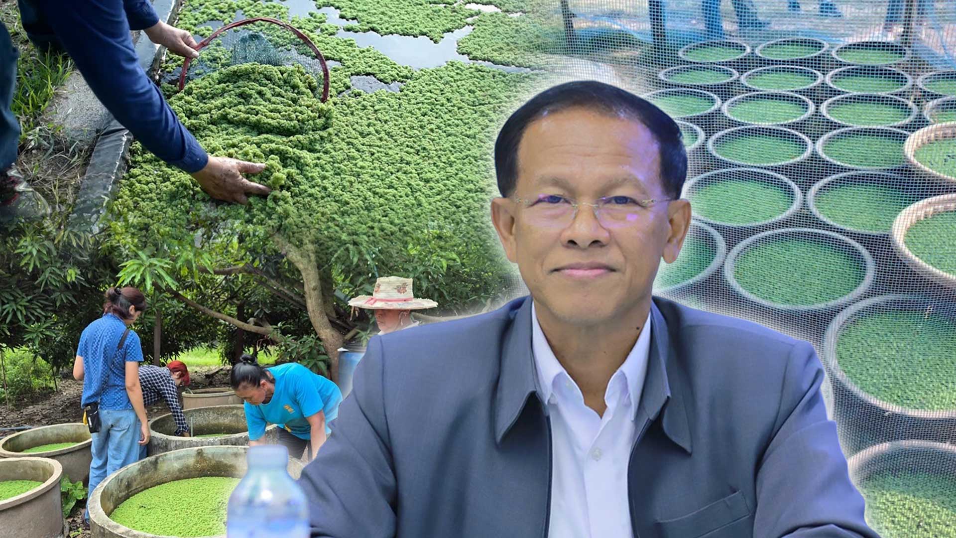 กรมวิชาการเกษตร ถ่ายทอดเทคโนโลยี ผลิต“แหนแดง”เชิงพาณิชย์ สร้างอาชีพ เพิ่มรายได้สู่ 2 วิสาหกิจชุมชนเมือง 2 แคว 1 กรมวิชาการเกษตร ถ่ายทอดเทคโนโลยี3