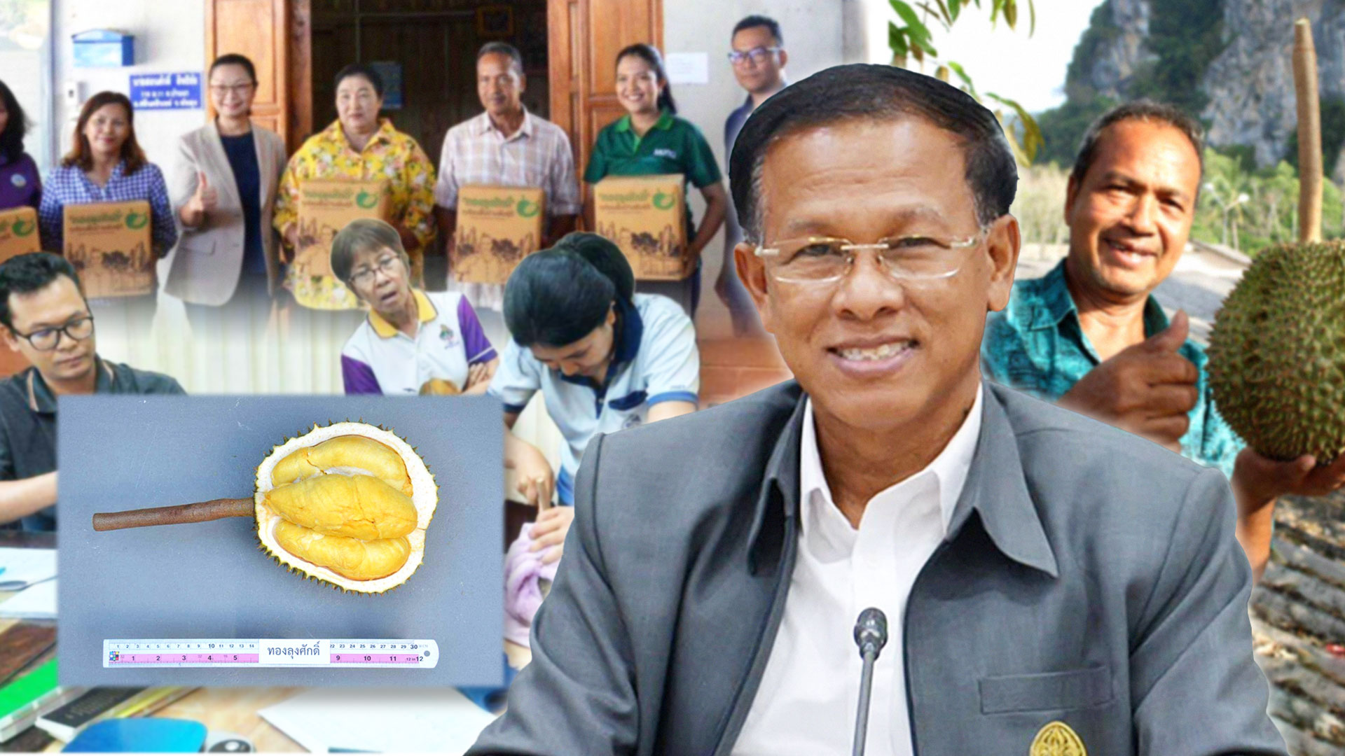 กรมวิชาการเกษตร ดัน ทุเรียนพื้นบ้านทองลุงศักดิ์จดทะเบียนพันธุ์พืชพื้นเมืองเฉพาะถิ่น รับสิทธิคุ้มครองพันธุ์ 1 กรมวิชาการเกษตร2