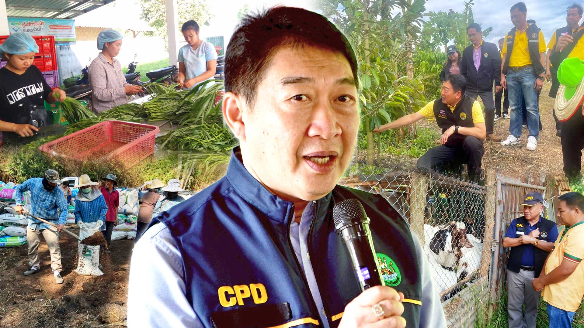 กรมส่งเสริมสหกรณ์ เดินหน้าส่งเสริมอาชีพและการตลาดในพื้นที่ คทช.ตามนโยบายรัฐบาลกระจายที่ดินทำกิน ยกระดับคุณภาพชีวิตเกษตรกรผ่านการรวมกลุ่มสหกรณ์และส่งเสริมนวัตกรรมการผลิตสู่ความเข้มแข็งอย่างยั่งยืน 1 กรมส่งเสริมสหกรณ์ เดินหน้า2 1