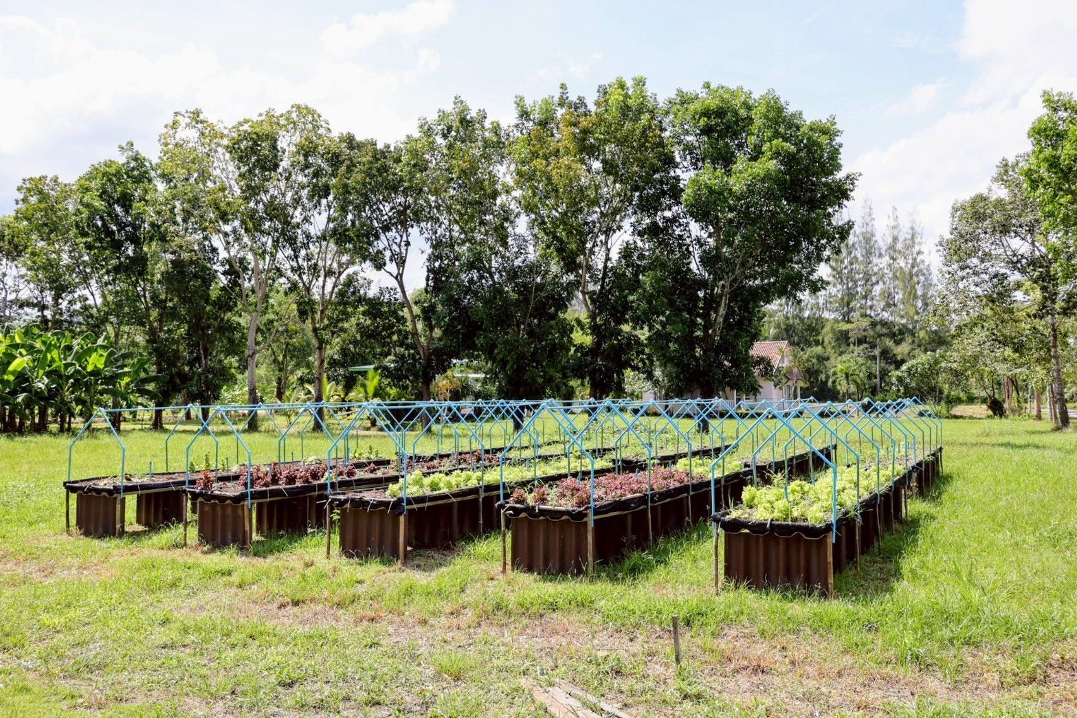 อธิบดีกรมพัฒนาที่ดินติดตามงาน ศูนย์ปฏิบัติการ ฯ ชัยพัฒนา-แม่ฟ้าหลวง 7 ข่าว111