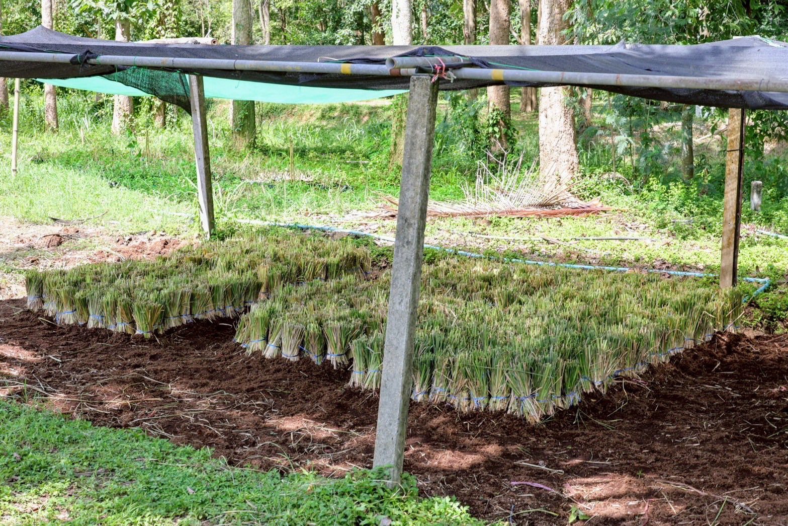 อธิบดีกรมพัฒนาที่ดินติดตามงาน ศูนย์ปฏิบัติการ ฯ ชัยพัฒนา-แม่ฟ้าหลวง 8 ข่าว112