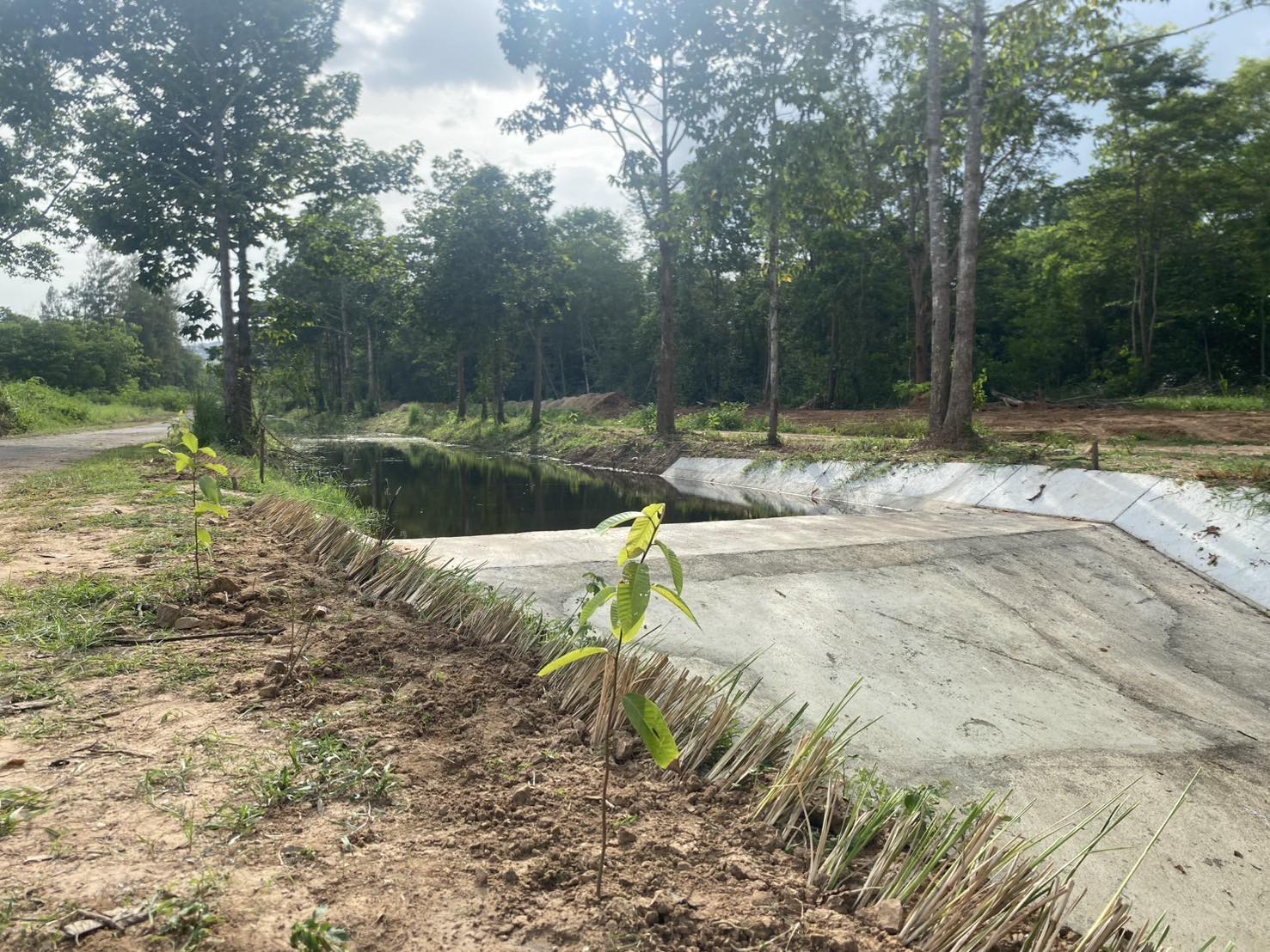 ผอ.เขต 10 ติดตามงานศูนย์ปฏิบัติการจัดการที่ดินชัยพัฒนา-แม่ฟ้าหลวง 2 ข่าว211