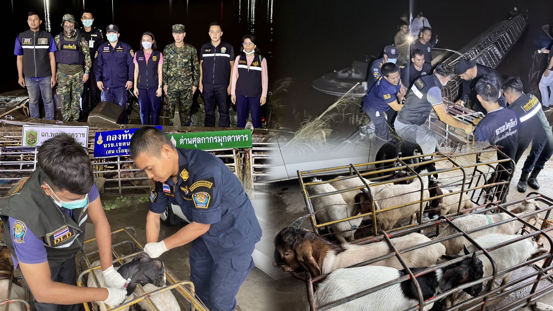 “ฉก.พญานาคราช” จับหมูและแพะเถื่อนในจังหวัดมุกดาหาร 1 ฉก.พญานาคราช2 3