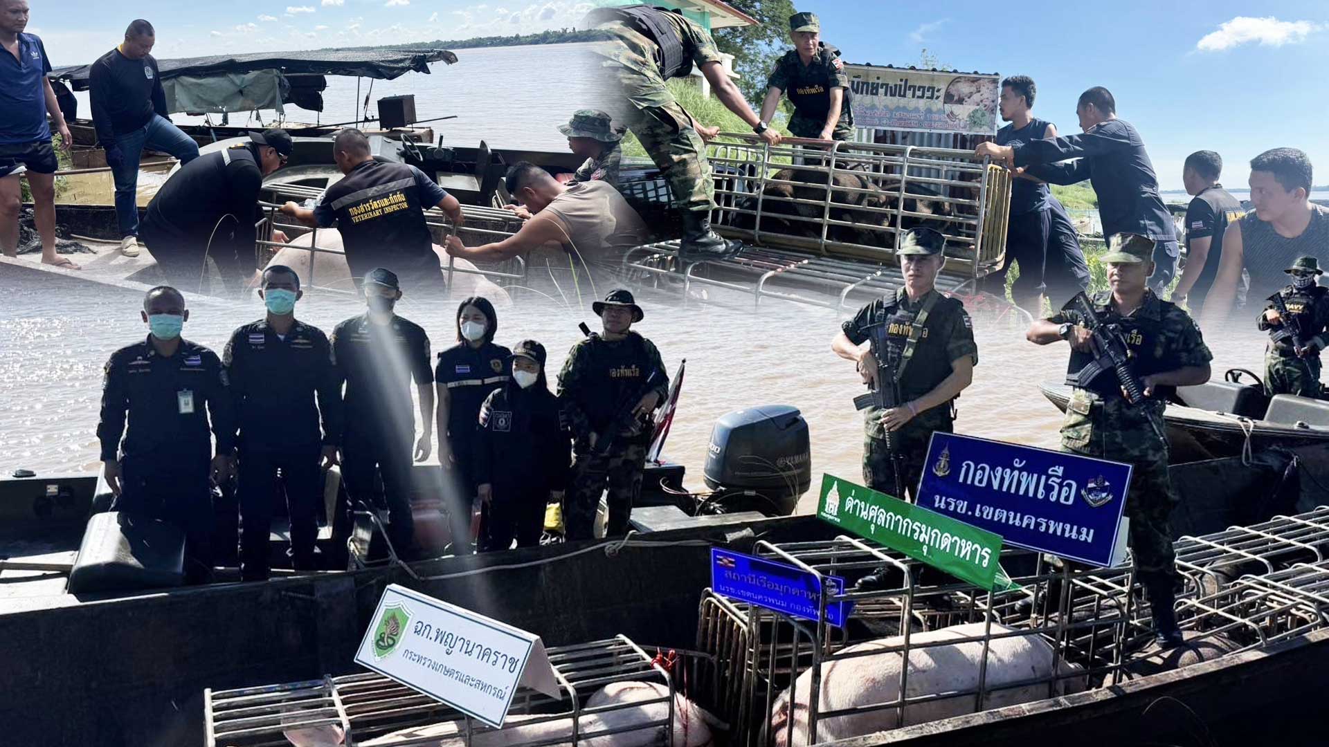 ฉก.พญานาคราช2 4