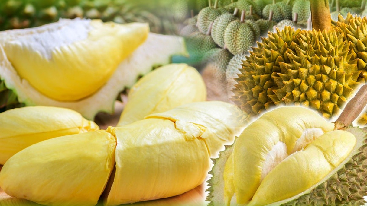 รัฐบาลสั่งไปรษณีย์ไทย ช่วยชาวสวนกระจายผลไม้กว่า 3 พันตัน ส่งฟรีทั่วประเทศ ลดต้นทุน แก้ปัญหาผลไม้ตกค้างจากสถานการณ์ชายแดน 3 ทุเรียน 1