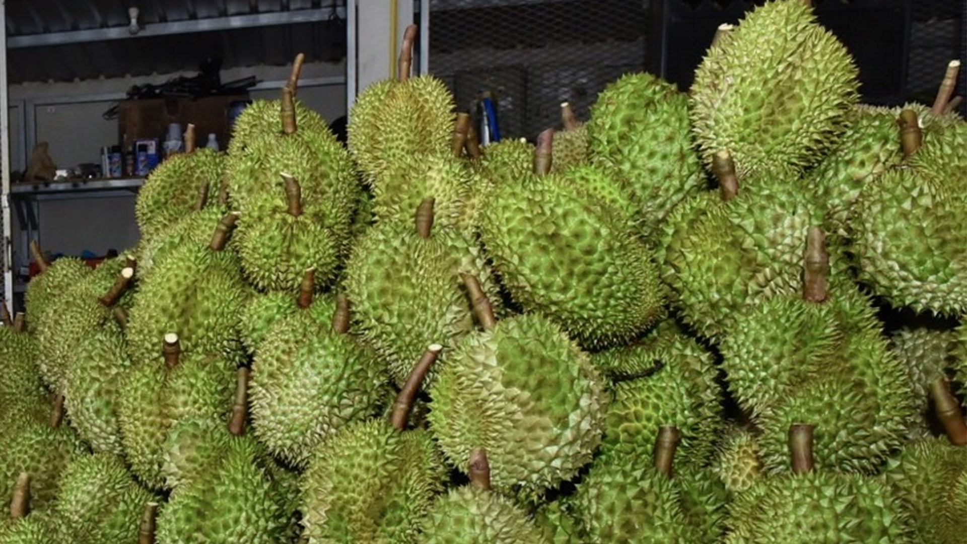 นาโนเทค เปิดตัว ทุเรียนใต้