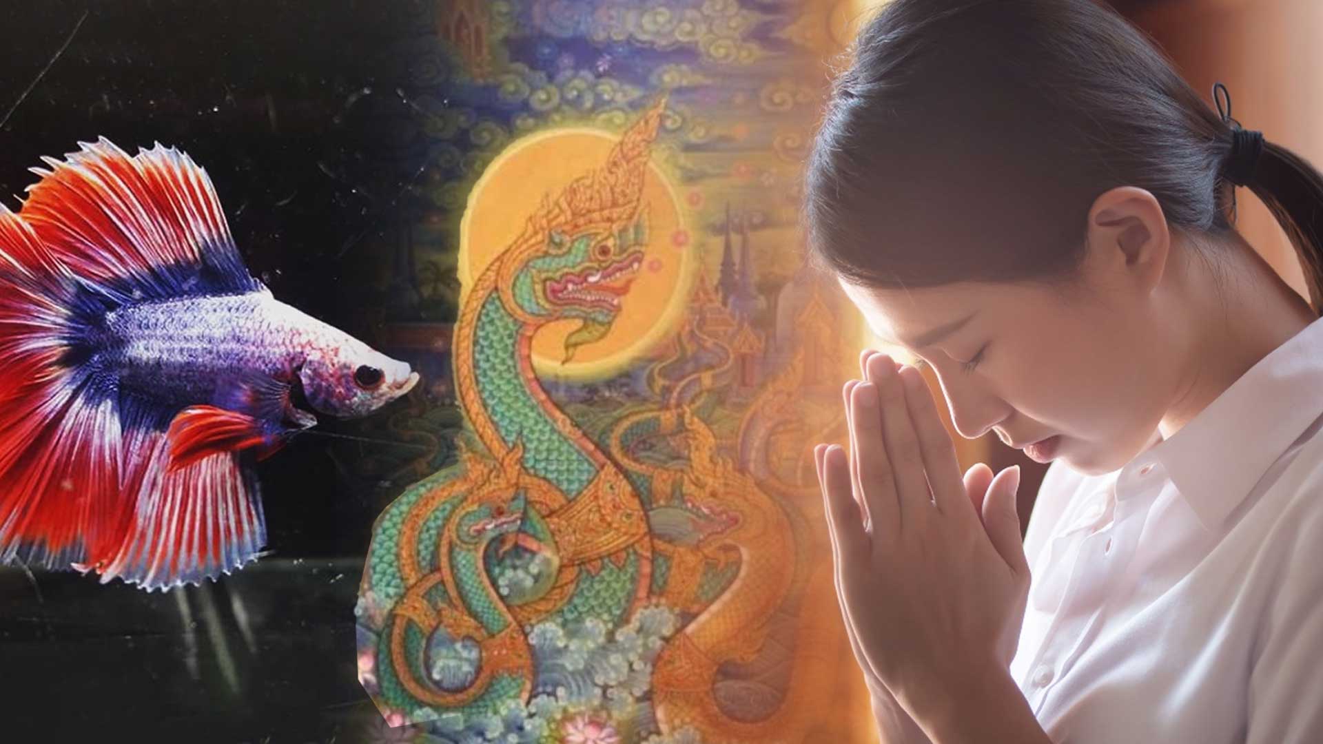 ประกาศสำนักนายกฯ กำหนดให้ ปลากัดไทย-นาค-การไหว้ เป็นเอกลักษณ์ประจำชาติ 1 ประกาศสำนักนายก2