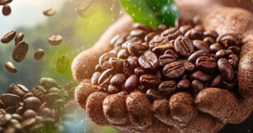 ผลผลิตกาแฟมากที่สุดในโลก2