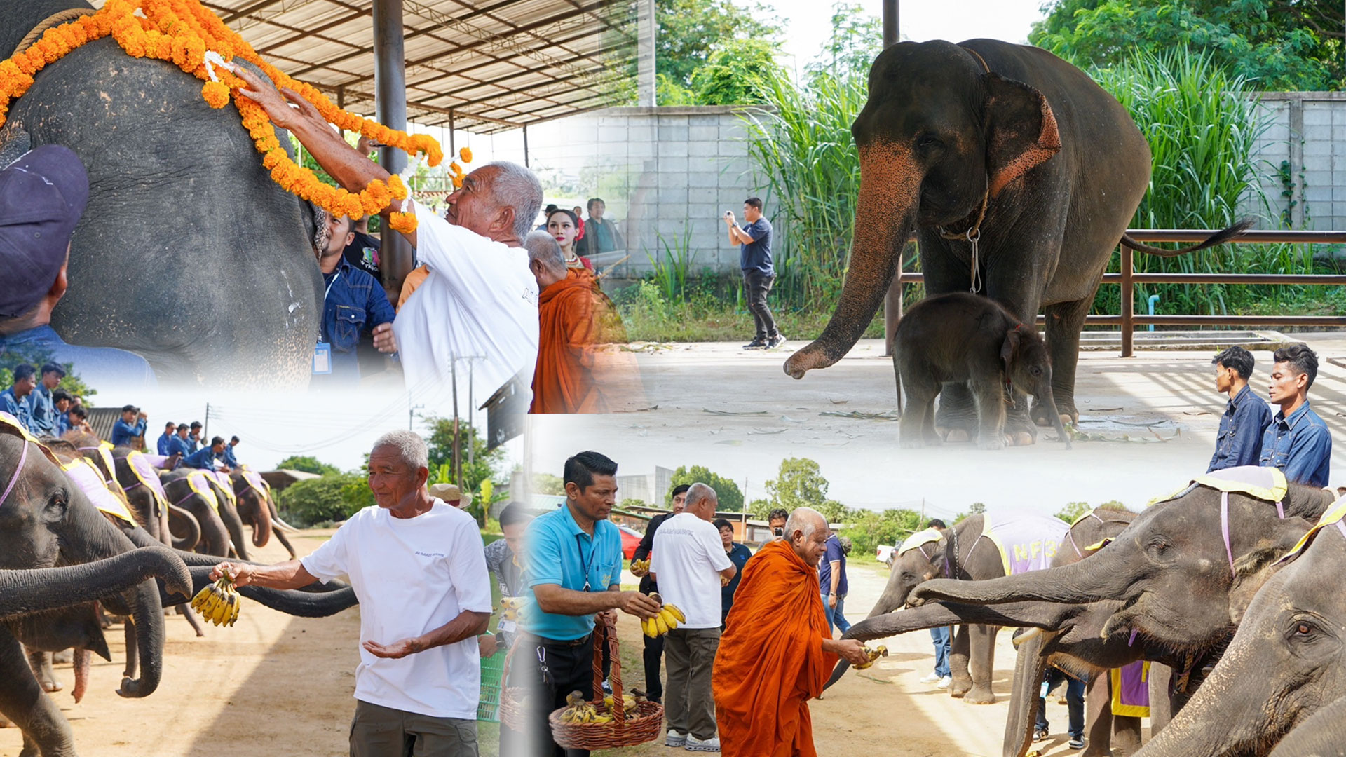 พังน้องพร2