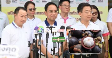 พาณิชย์ดึง3