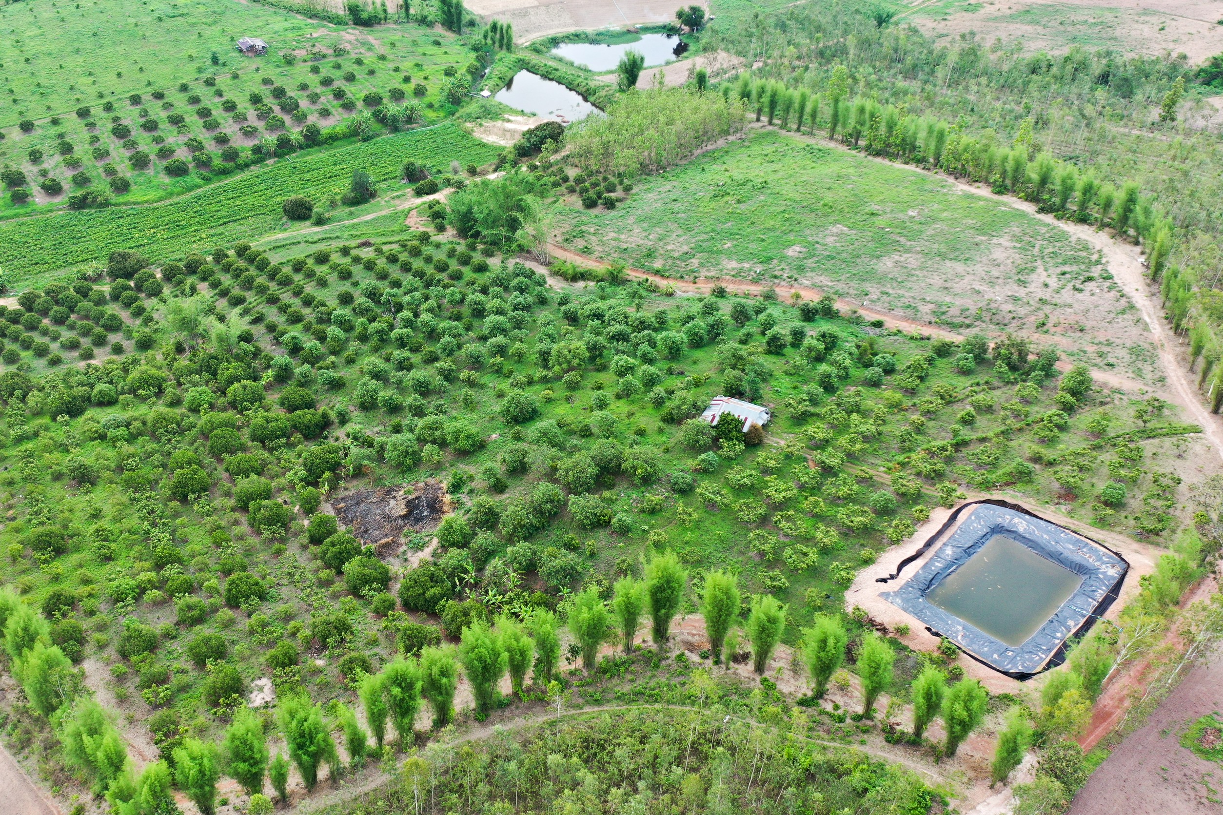 สวพส. จัดการน้ำบนพื้นที่สูง…เปลี่ยนชีวิตชุมชน…สู่ความมั่นคงทางอาหารอย่างยั่งยืน 8 ภาพสวพส8