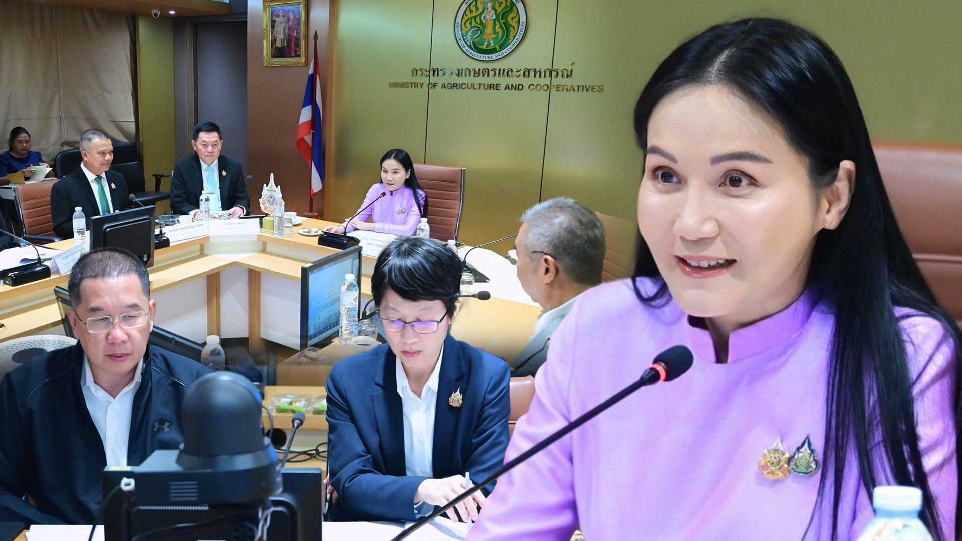 “รมว.นฤมล” ประชุมคณะอนุกรรมการฯ EUDR ตั้งเป้าผลักดันเกษตรกรไทยไม่รุกรานป่า รักษามาตรฐานกลุ่ม Low Risk พร้อมแต่งตั้งคณะทำงานฯ 4 ด้านหลัก เพื่อยกระดับเกษตรไทยในระดับสากล 1 รมว.นฤมล2