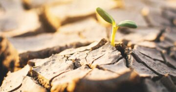 วันต่อต้านปัญหาภัยแล้ง2