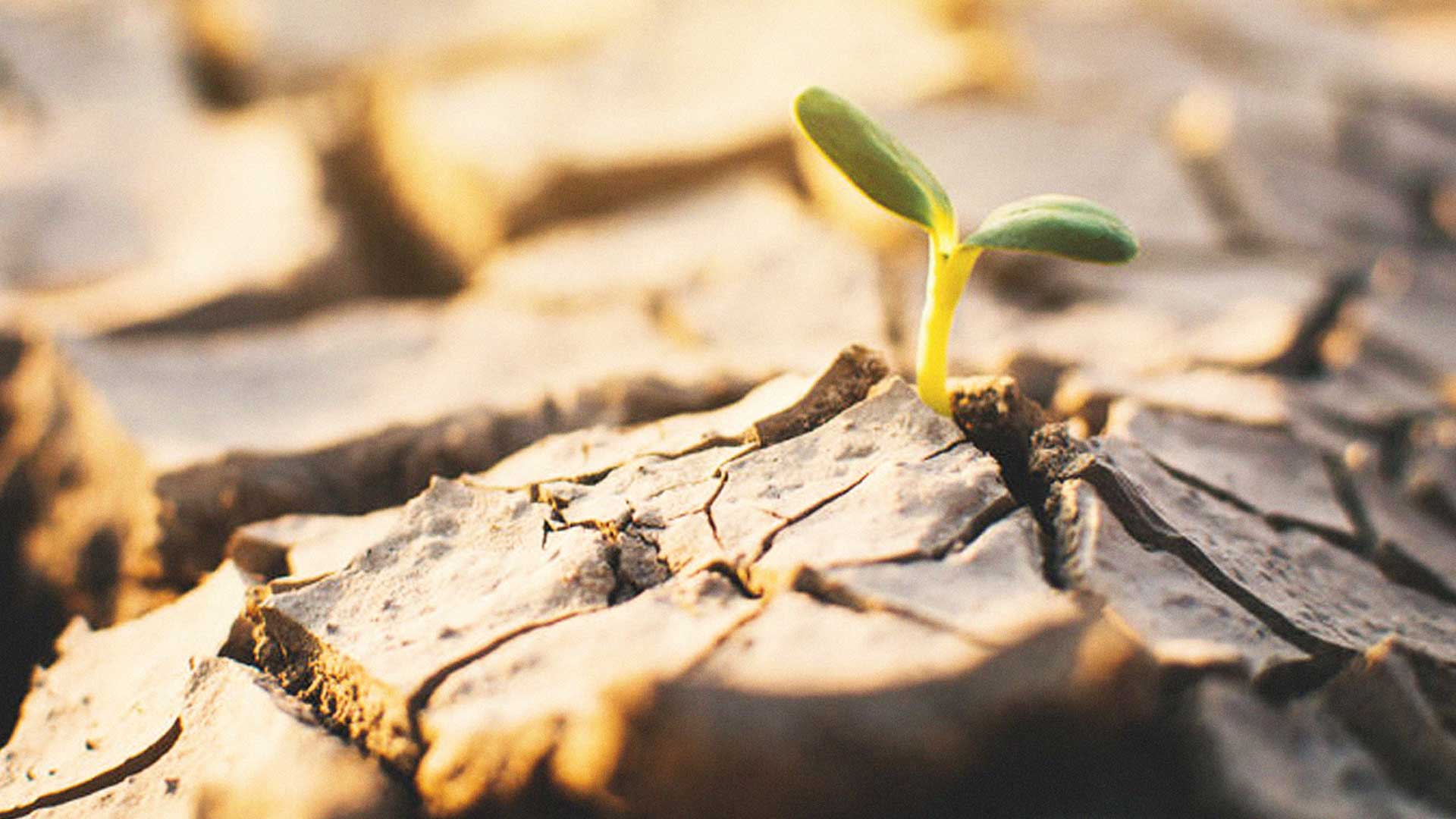 17 มิถุนายน วันต่อต้านปัญหาภัยแล้งและฝนแล้งของโลก 1 วันต่อต้านปัญหาภัยแล้ง2