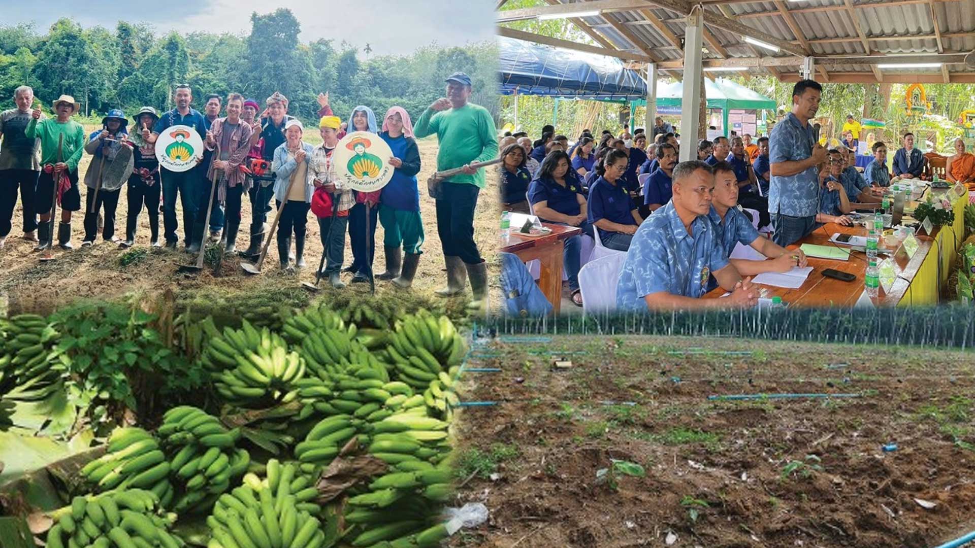 วิสาหกิจชุมชนกลุ่มเกษตรกร2