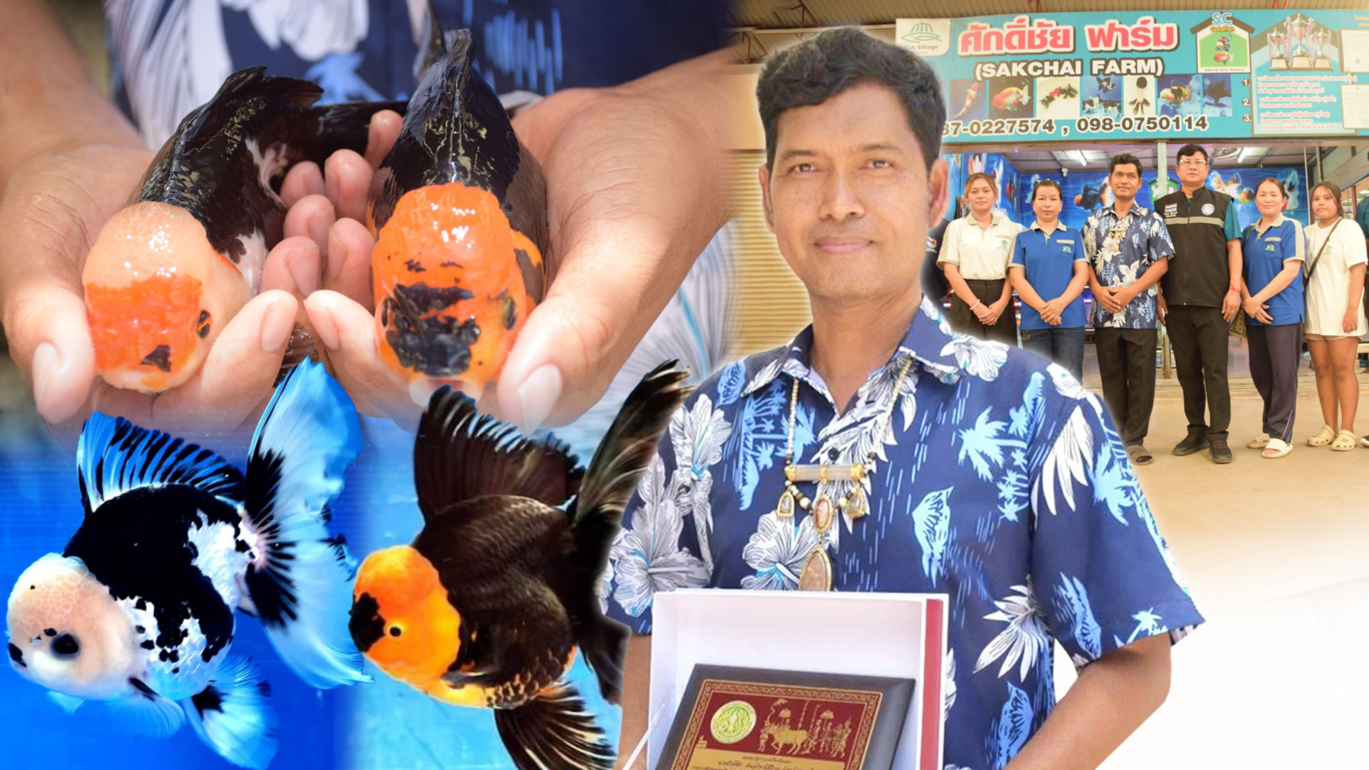 กรมประมงชู ‘ศักดิ์ชัย ตันอริยะมีศิริกุล’ ต้นแบบเกษตรกรดีเด่นนำนวัตกรรมยกระดับการเพาะเลี้ยงปลาสวยงามไทย สู่ตลาดโลก 1 ศักดิ์ชัย2