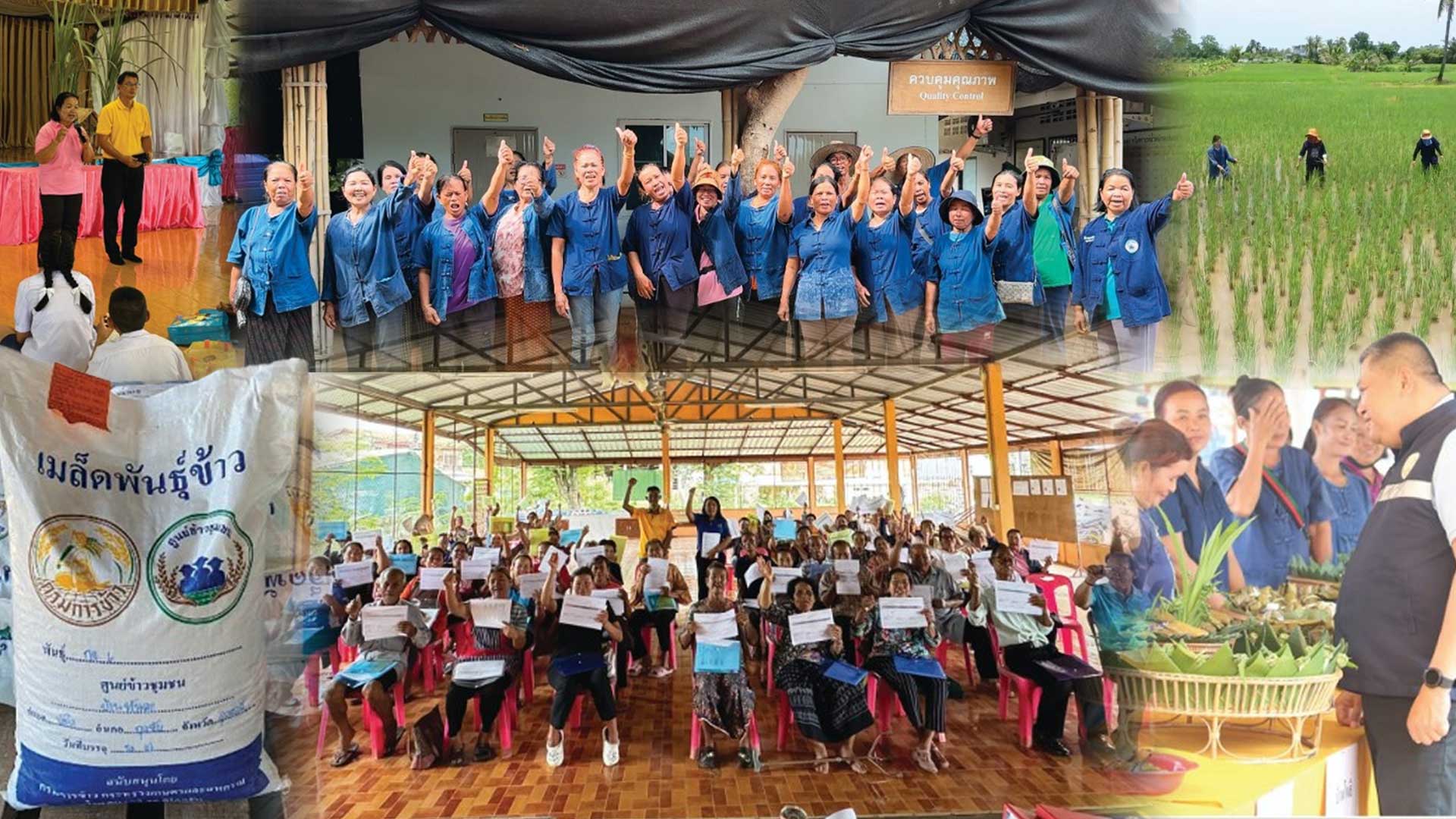 สถาบันเกษตรกรดีเด่นแห่งชาติ ประจำปี 2568 ศูนย์ส่งเสริมและผลิตภัณฑ์ข้าวชุมชนประเภทข้าวอื่นๆ ศูนย์ข้าวชุมชนบ้านหันเทา2