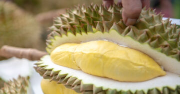 สถิติทุเรียนภาคตะวันออก2