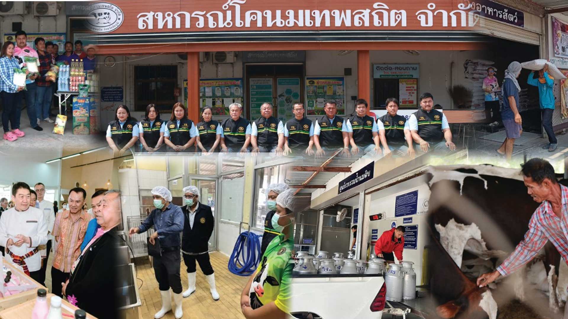 สหกรณ์โคนมเทพสถิต จำกัด2