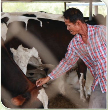 สหกรณ์ดีเด่นแห่งชาติ ประจำปี 2568 ประเภทสหกรณ์โคนม สหๅ