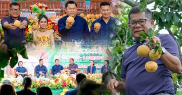 หวานสะดุ้ง3