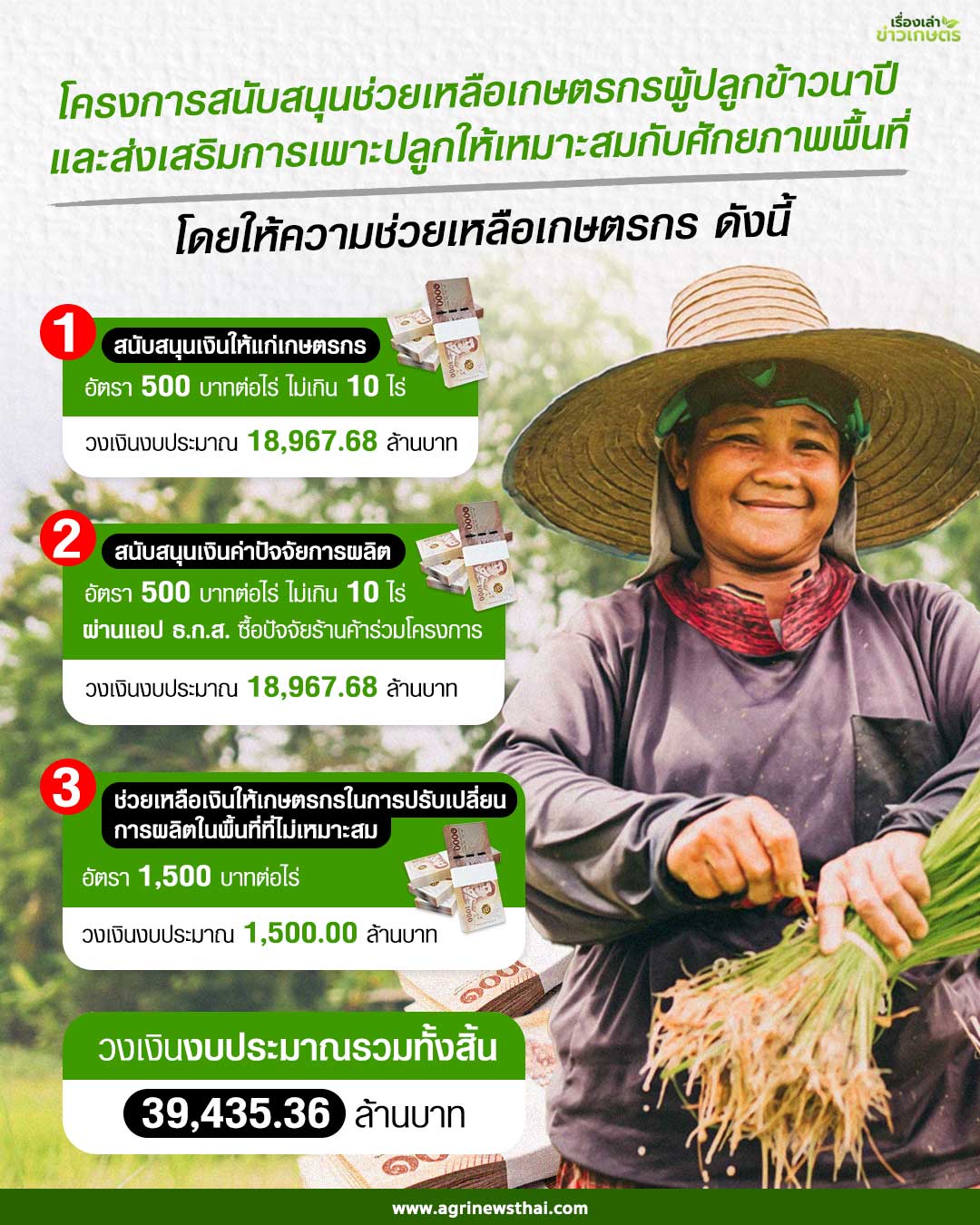 นบข. ไฟเขียว 4 มาตรการช่วยข้าวนาปี 68/69 วงเงินกว่า 5 หมื่นล้าน พยุงราคา-ลดต้นทุนชาวนา 3 อินโฟโครงการสนับสนุน แก