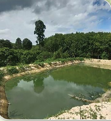 สหกรณ์ดีเด่นแห่งชาติ ประจำปี 2568 สหกรณ์ผู้ผลิตยางพารา อ่าง