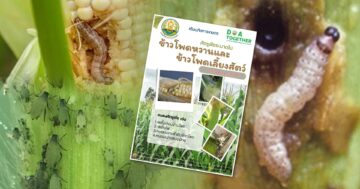 เตือนภัย3