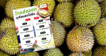 เปรียบเทียบส่งออกทุเรียนไทยไปจีน3