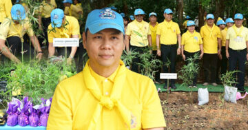 เปิดโครงการนำร่อง2