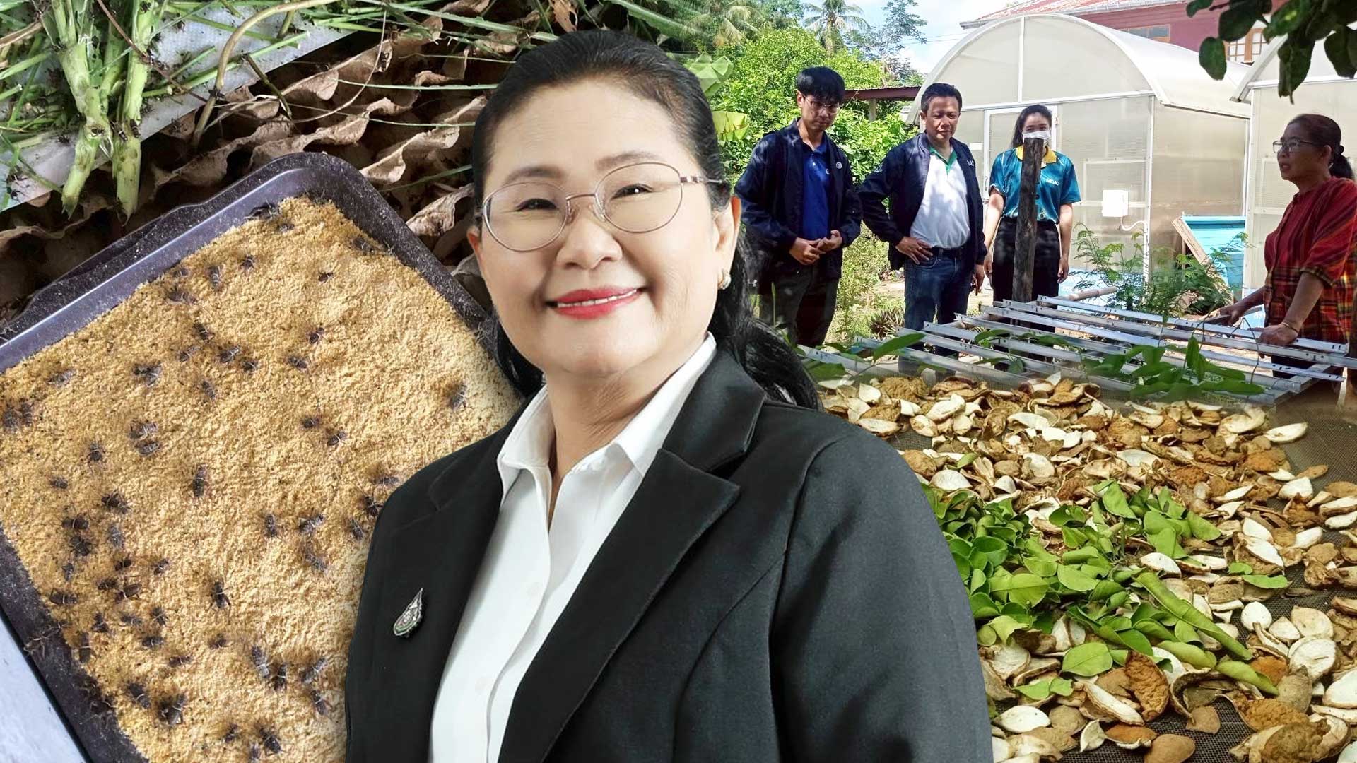 โครงการส่งเสริมและพัฒนาสินค้าเกษตรชีวภาพ หนุนเกษตรกรสร้างรายได้จากสมุนไพร-แมลงเศรษฐกิจ 1 โครงการส่งเสริม2