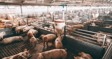 โรงเรือนแบบปิด2