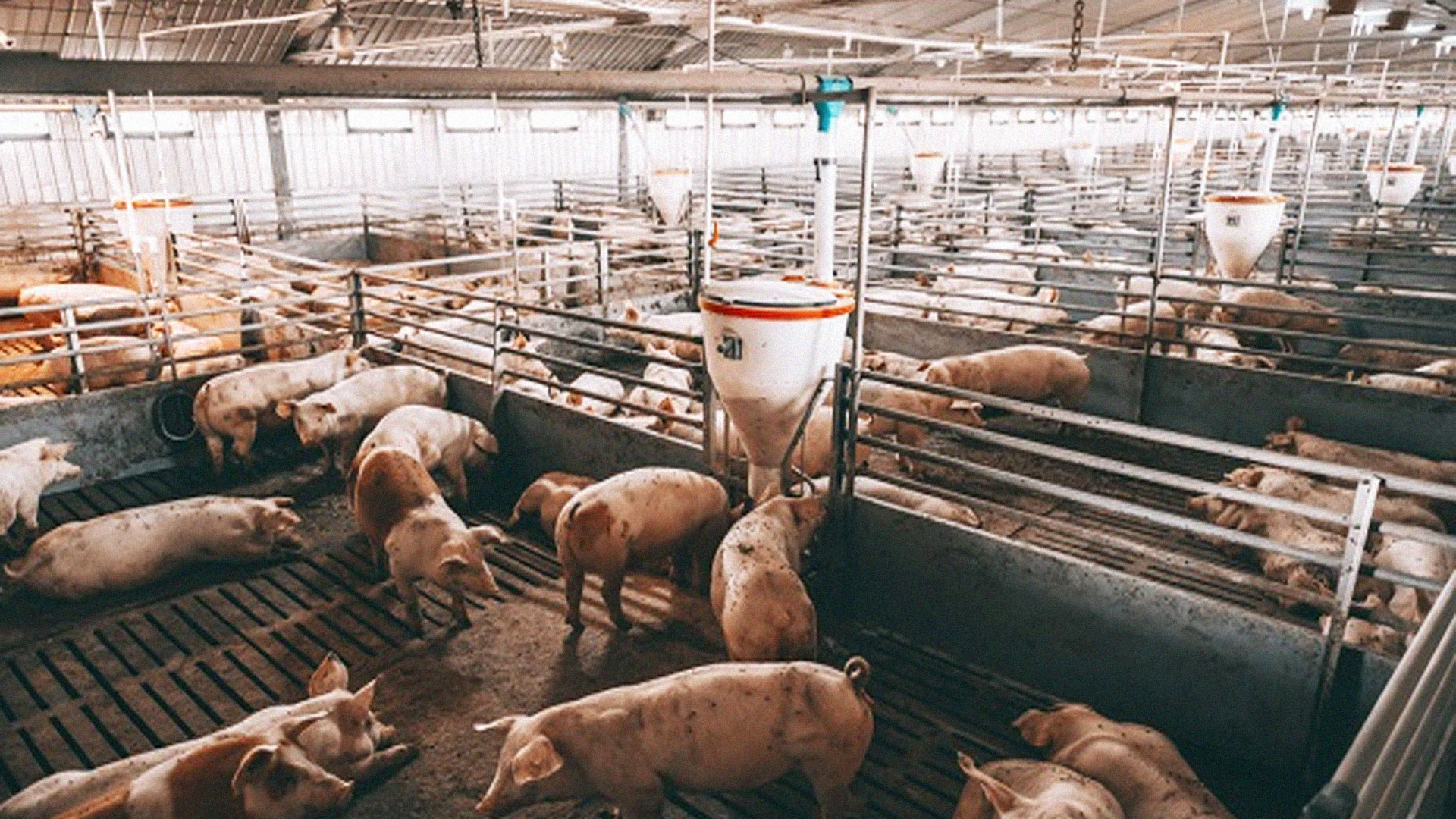 โรงเรือนแบบปิด2