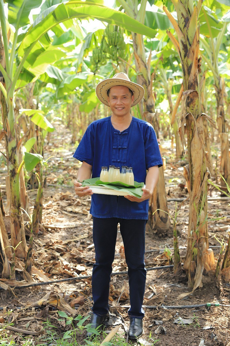 กรมวิชาการเกษตร ชู เกษตรกร GAP ดีเด่นแห่งชาติเรียนรู้จากประสบการณ์จริง นำเทคโนโลยีมาปรับใช้ ต้นแบบเกษตรกรยุคใหม่ 9 008