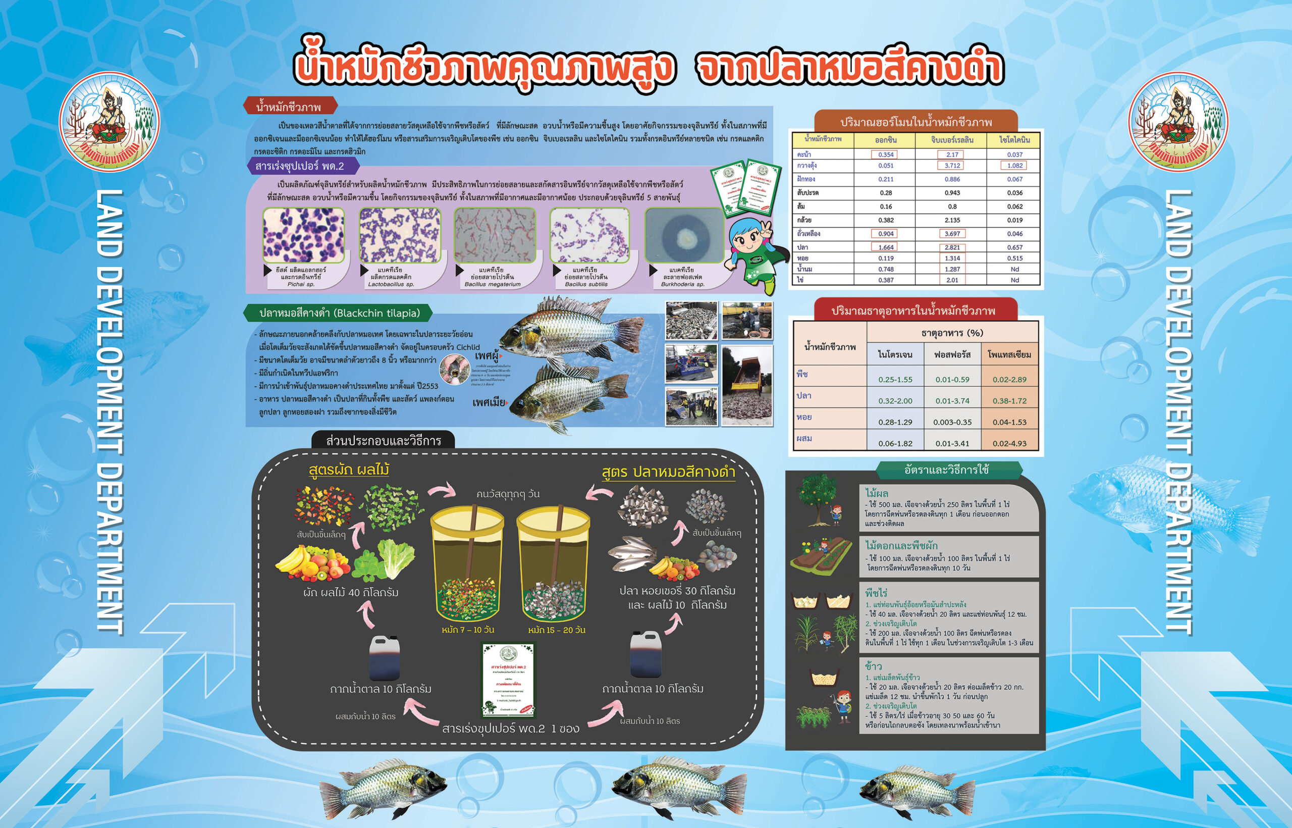 กรมพัฒนาที่ดิน เผยผลสำเร็จ “น้ำหมักชีวภาพสูตรปลาหมอคางดำ” ทำเกษตรกรยิ้ม ผลผลิตพุ่ง ลดต้นทุน เพิ่มรายได้ 9 02 scaled