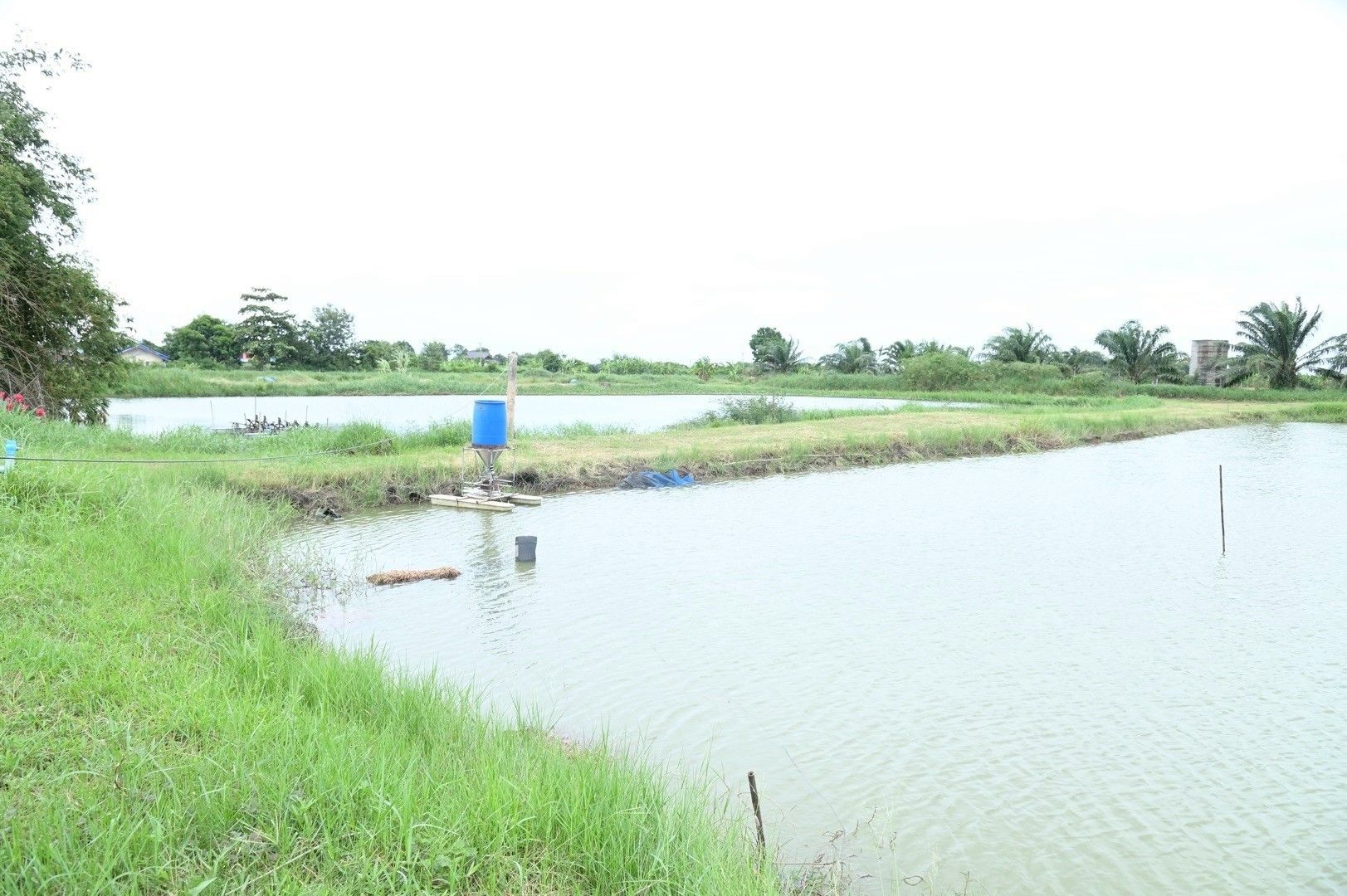 รมช.อัครา ลุยชลบุรีดัน 1277442