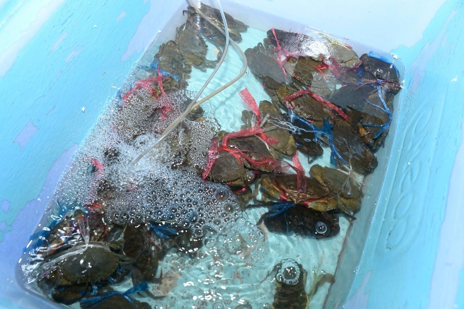 รมช.อัครา ลุยชลบุรีดัน 1277480